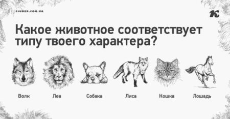 Характер по животным