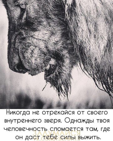 Не отрекайся от внутреннего зверя