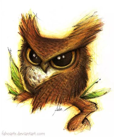 Забавная Сова рисунок