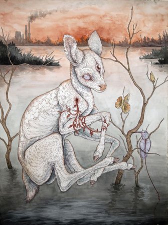 Caitlin Hackett художница кот