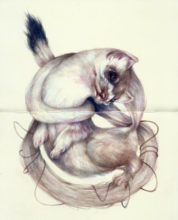 Необычный животные скетч