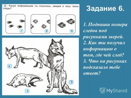 Картинки к методике «узнай, кто это»