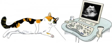 Раскраска большой маленький для детей