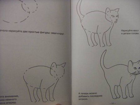 Раскраска "Дикие животные"