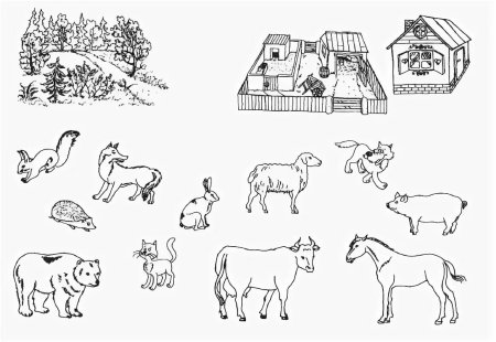 Дикие животные задания для дошкольников