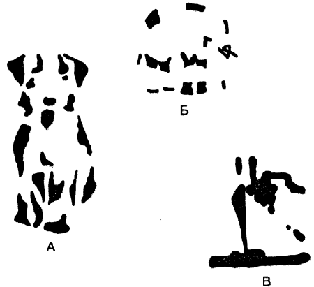 Раскраски животных зоопарка для детей