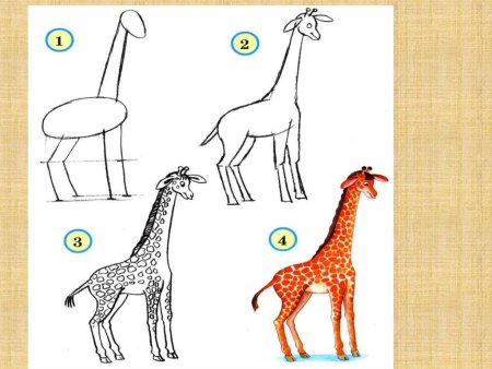 Лиса рисунок карандашом поэтапно