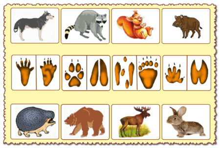 Методика м р ГИНЗБУРГА изучение учебной мотивации