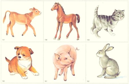 Слон поэтапное рисование для детей