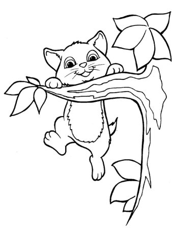Раскраска кошечка