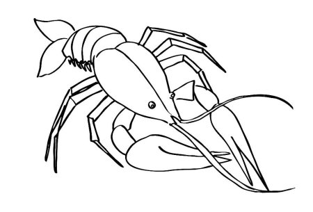 Рачки для детей раскраска