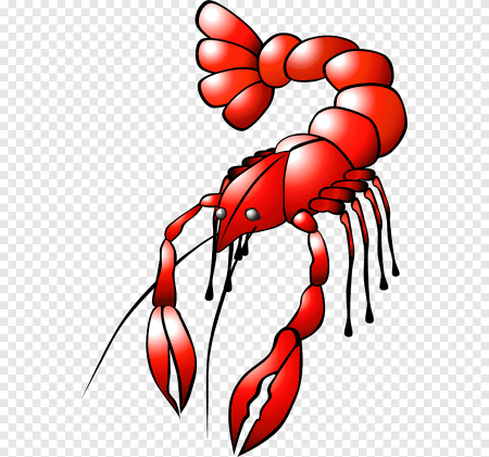 Рачки рисунок