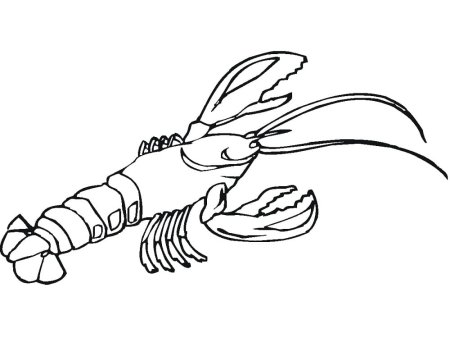 Раскраски лобстеры