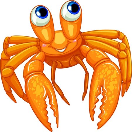 Морские жители на прозрачном фоне