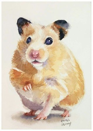 Картина хомячка