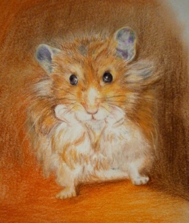 Нарисовать хомяка