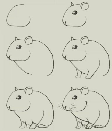 Поэтапное рисование хомяка