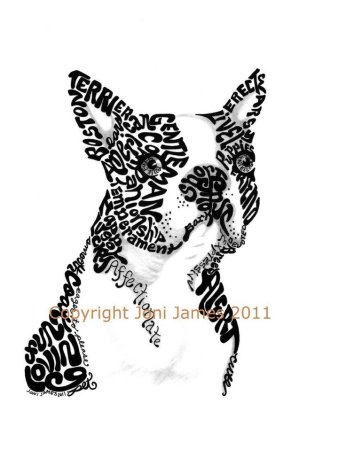 Шрифтовая композиция животные