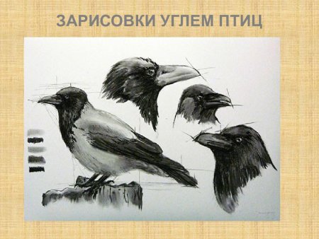 Силуэтные зарисовки чучела птицы