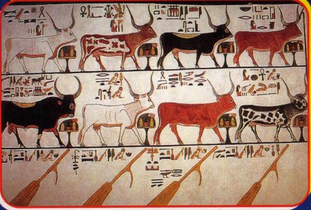 Священные животные древнего Египта гиена