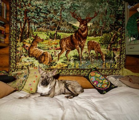 Ковер с изображением животных