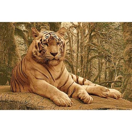 Merinos da Vinci ковер z902