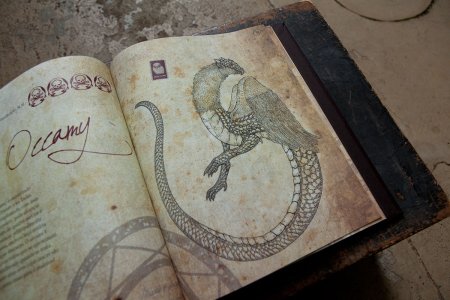 Гарри Поттер и фантастические твари книга