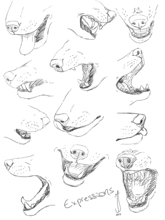 Зубы Волков референс