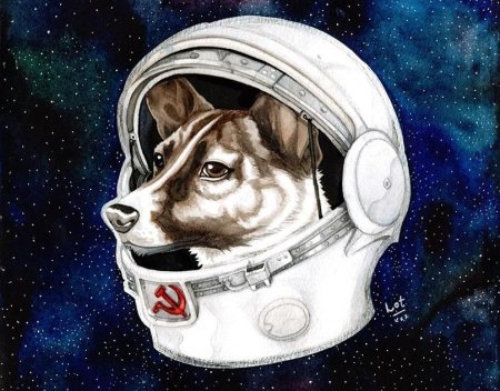 Собаки космонавты