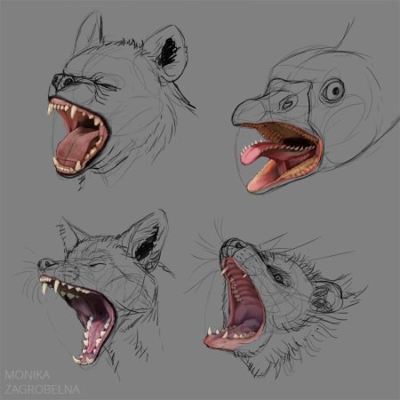 Открытая пасть референс