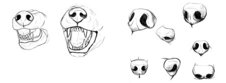 Нос собаки референс