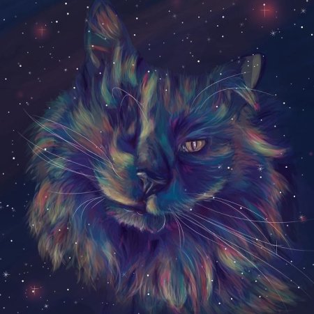 Космос арт животные