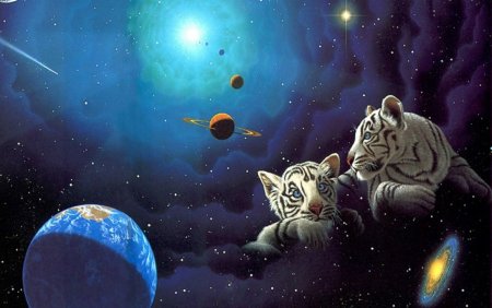 Космические животные