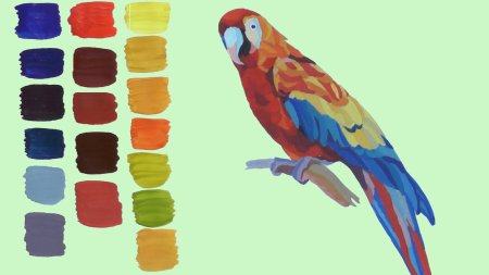Попугай для рисования