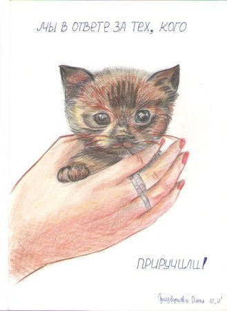 Gkfrfn vs d jndtnt. PF NT[ rjuj ghbhexbkb