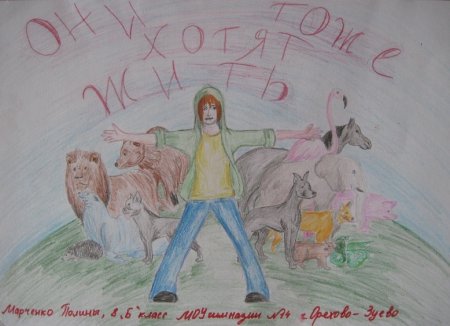 День защиты животных плакат