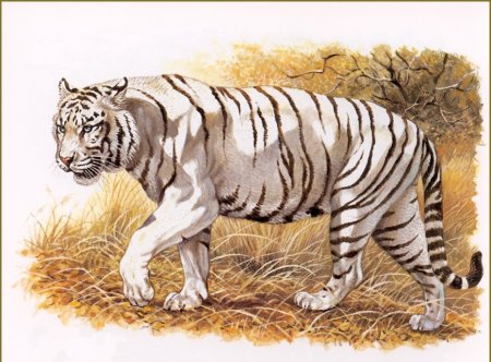 Художник Роберт Даллет