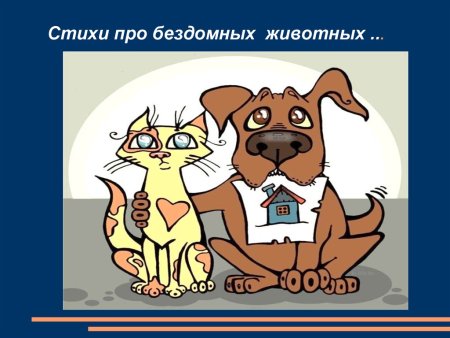 Стихи про бездомных животных