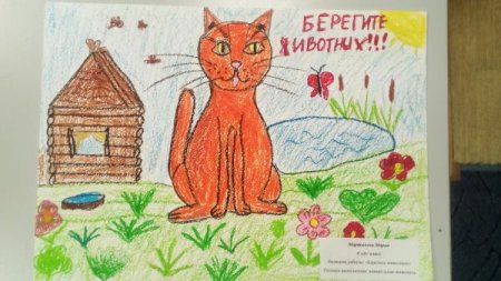 Плакат берегите животных 3 класс