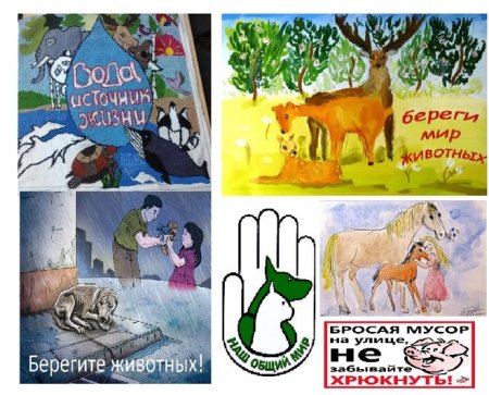 Береги животных