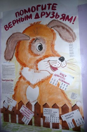 Помогайте животным рисунок