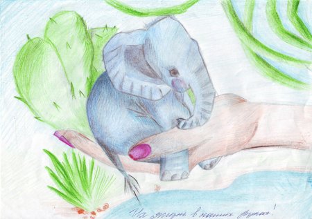 Лозунги в защиту животных