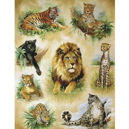 Раскраска пантера