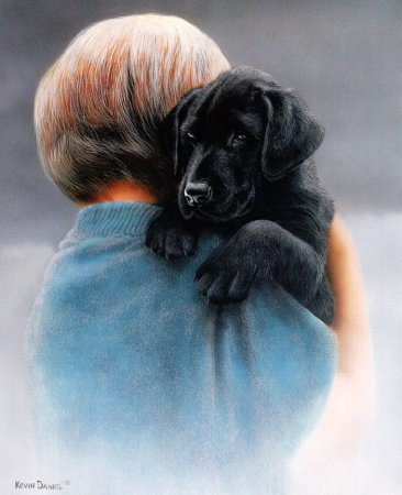 Собаки художника Daniel Kevin Hemming