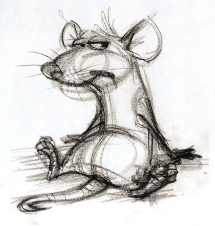 Крыса рисунок карандашом