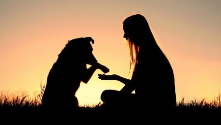 Девушка с собакой на закате