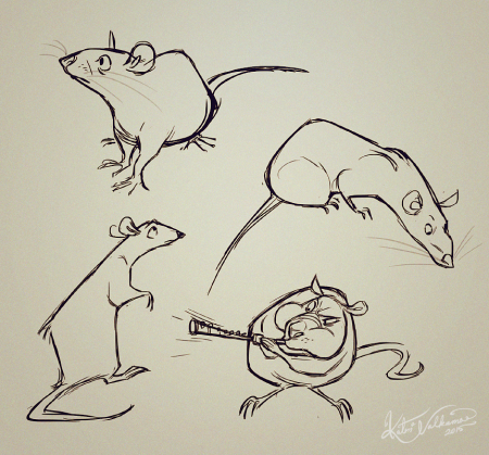 Крысы анатомия референс