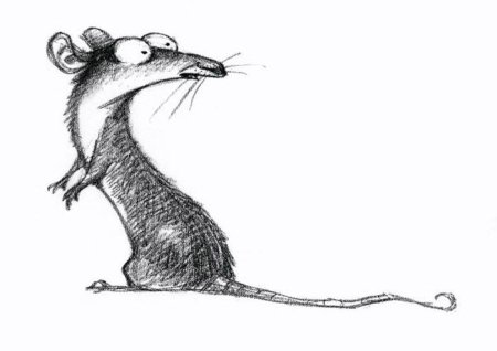 Нарисовать крысу карандашом