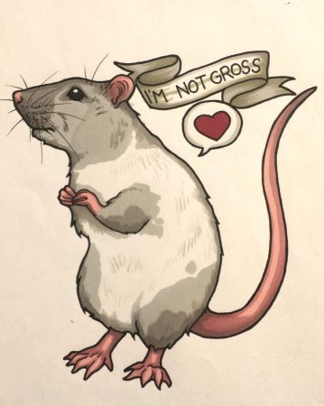 Крыса рисунок