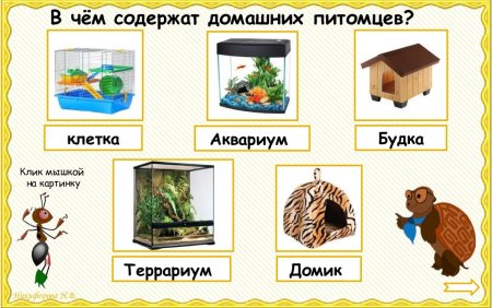 Обитатели живого уголка